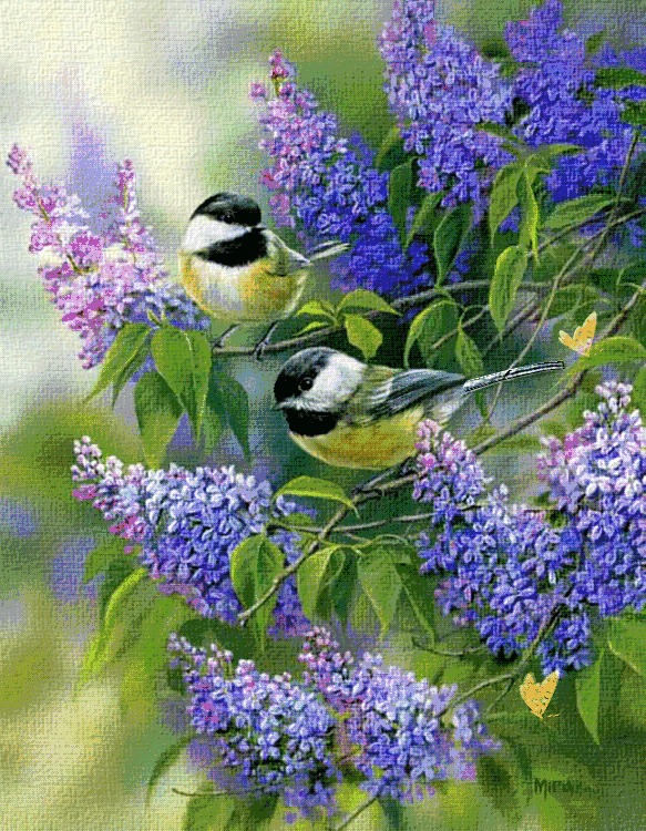 柠檬美文■老同学，请珍重！