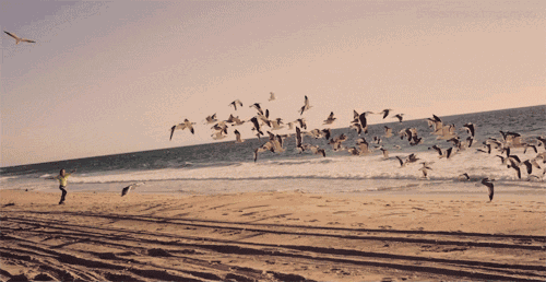 [花一派植物花卉]朋友圈是一面镜子，这四类内容不要随便发