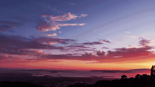 [花一派植物花卉]朋友圈是一面镜子，这四类内容不要随便发