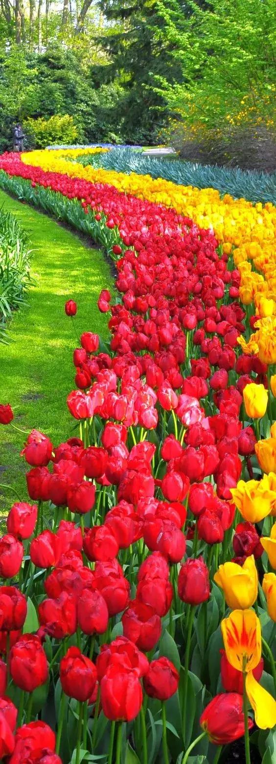 #柠檬美文#好山好水好风景，看一下，一整天都舒服了！