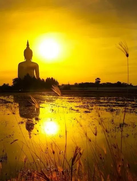 阿弥陀佛@放过自己吧，别瞎想了！