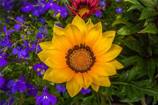 光明网■努力做一个善良的人，做一个心态阳光的人，做一个积极向上的人！