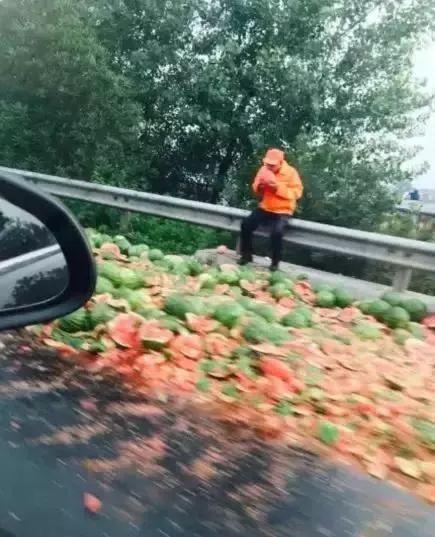 【柠檬美文】看完这七张照片，什么事都想开了！