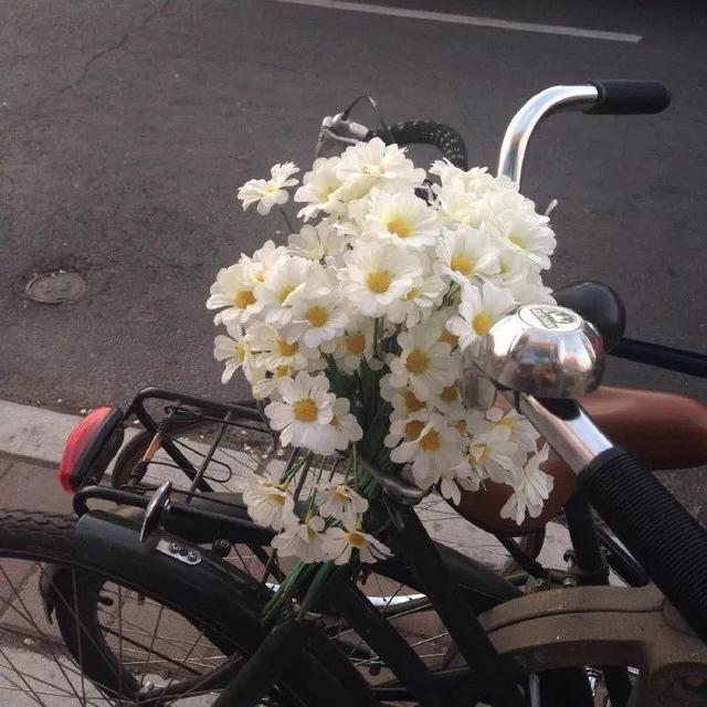 #会飛白勺渔#恋爱多久适合结婚呢？