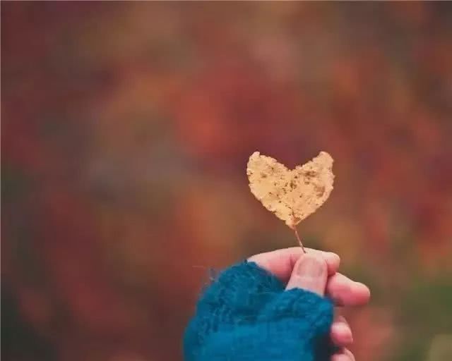 【阿弥陀佛】人怕走错路，情怕牵错手