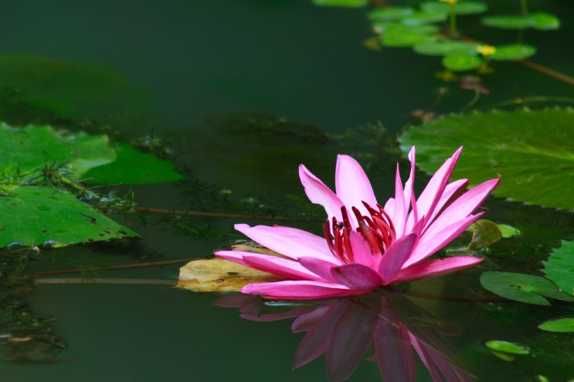 「灵感的科技」最不懂女人心的三大生肖男，不太会讲话，从来不主动认错