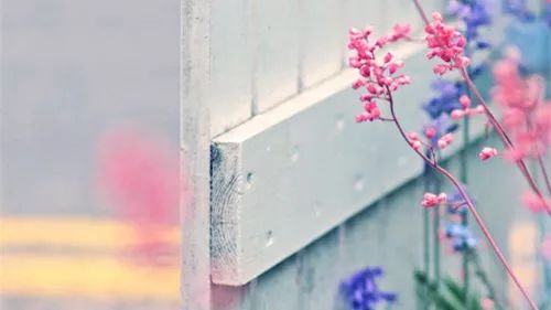 #爱操村长的心#一个人最好的底牌，就这两个字！