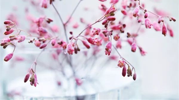 #爱操村长的心#一个人最好的底牌，就这两个字！