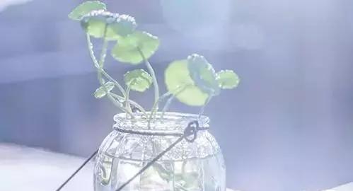 柠檬美文■得与失，上天注定