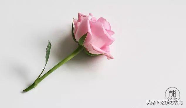 【柠檬美文】下半生，少生气