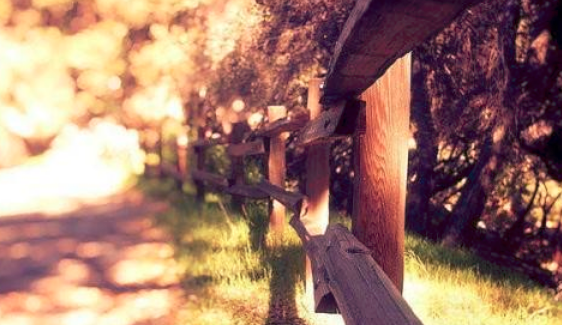 [柠檬美文]人，要记事，不要记仇