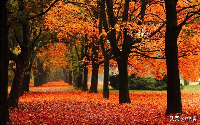 「励志的娱乐」与其埋怨世界，不如改变自己