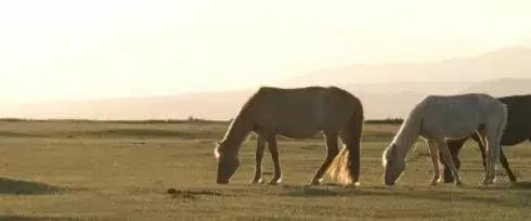 心理观察家@这一生只欠两种人，这一生只负责两种人