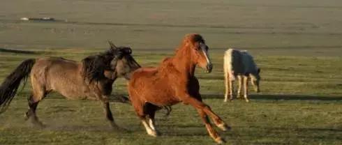 心理观察家@这一生只欠两种人，这一生只负责两种人