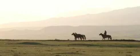 心理观察家@这一生只欠两种人，这一生只负责两种人