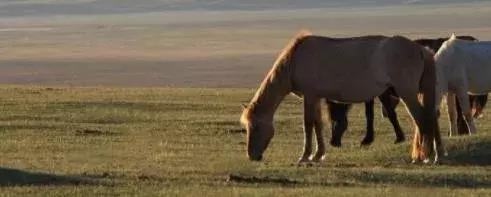 心理观察家@这一生只欠两种人，这一生只负责两种人