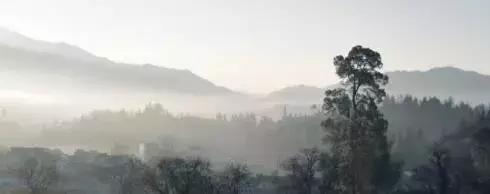 心理观察家@这一生只欠两种人，这一生只负责两种人