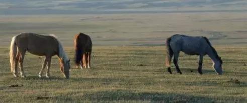 心理观察家@这一生只欠两种人，这一生只负责两种人