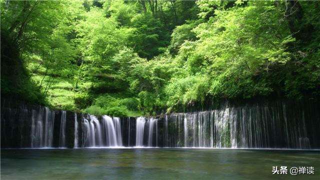 励志的晓莉@阅历中有品味，挣扎中有感悟