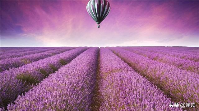 「正义励志小雷」暮然回首，万事空；嬉笑怒骂，即人生