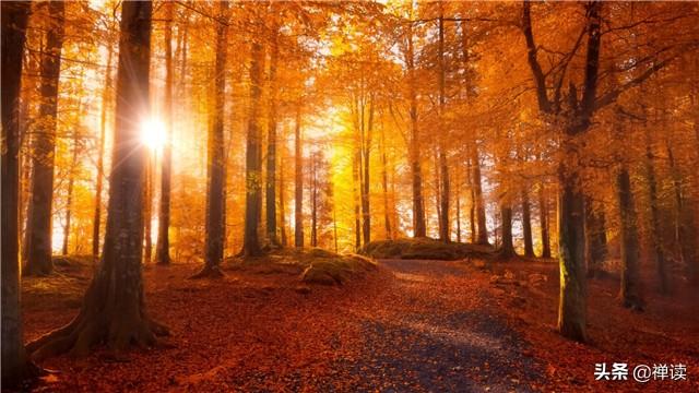 「励志宜家清洁设备」洪炉可以锻炼钢铁，困境可以成就伟人