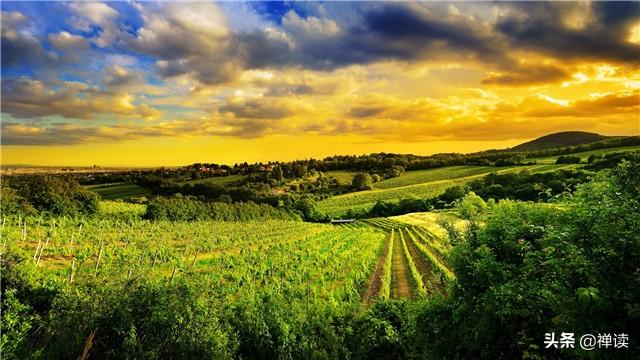 「励志宜家清洁设备」洪炉可以锻炼钢铁，困境可以成就伟人