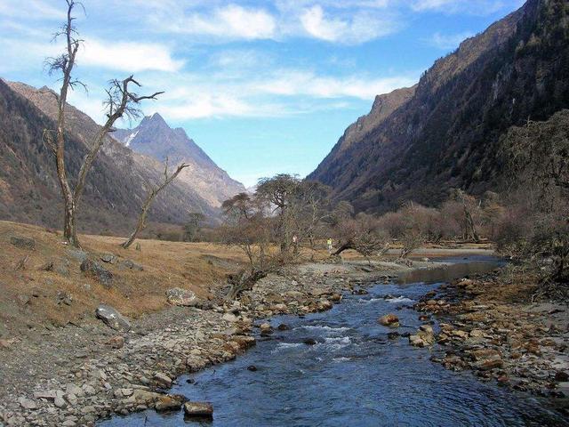 [浅浅情感说]熬得过生活的，有多少人