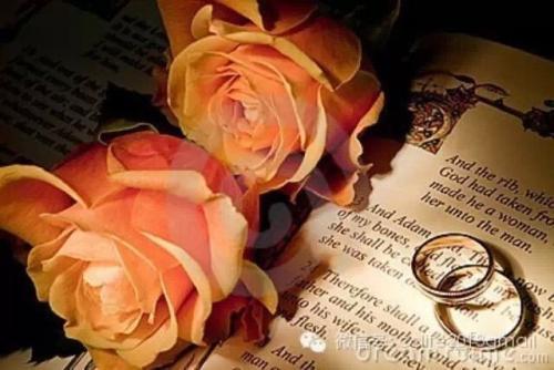 「感情经营所」婚姻最好的状态就是：不管好与不好，你都有随时放手的能力