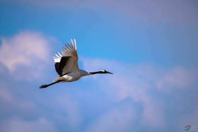 「悲伤的螃蟹」要想工作开展的好就要抓住工作中的主要矛盾