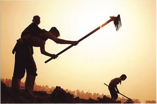 #好文章阅读#你可以放心的老了