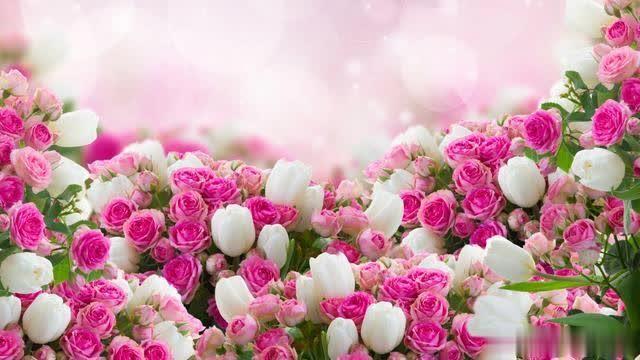 [墨殇文学]想忘，更是难忘