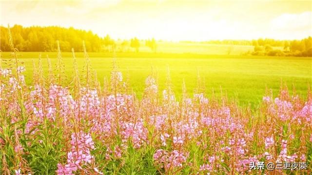 校园留声机@人生有尺，做人有度