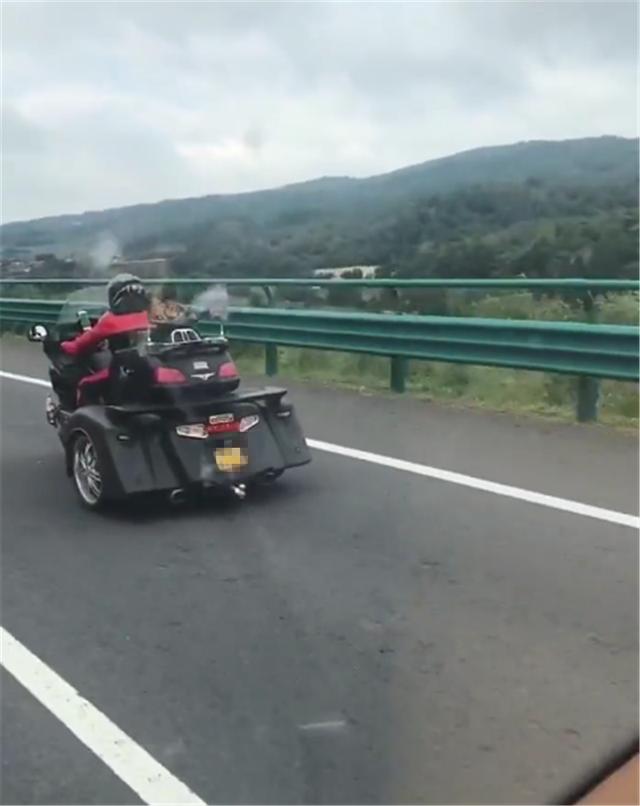 「蛋蛋懂车」又有摩托上高速，车价超6位数，都是大排，收费和7座以下小车一样