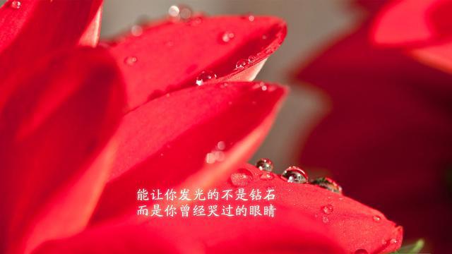 爱读书的百合@有本事的人，总能控制好自己的情绪