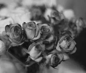 【愛上余生】男人到了一定年龄，这几样东西能扔就早扔