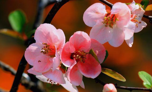 励志视频短片：为自己找一个简单快乐的理由，让自己快乐起来