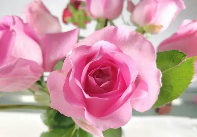 「励志照亮人生666」面对生活的不顺与挫折，不叹息，不惆怅，以平和的心态珍惜每一天