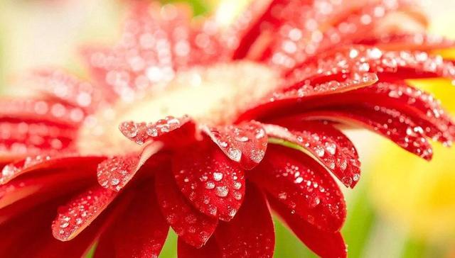 「励志照亮人生666」面对生活的不顺与挫折，不叹息，不惆怅，以平和的心态珍惜每一天