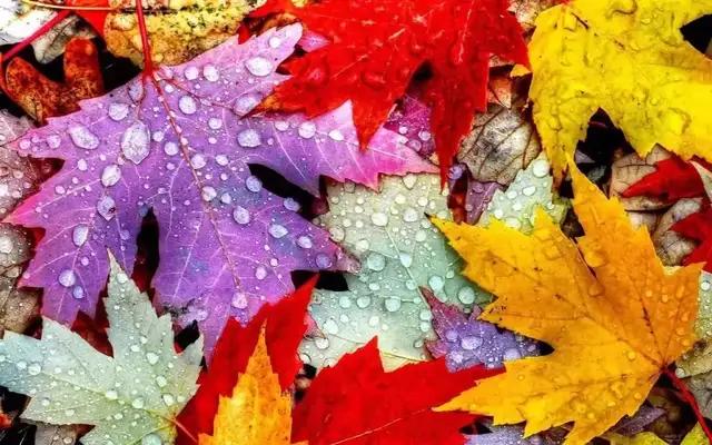 「励志照亮人生666」面对生活的不顺与挫折，不叹息，不惆怅，以平和的心态珍惜每一天