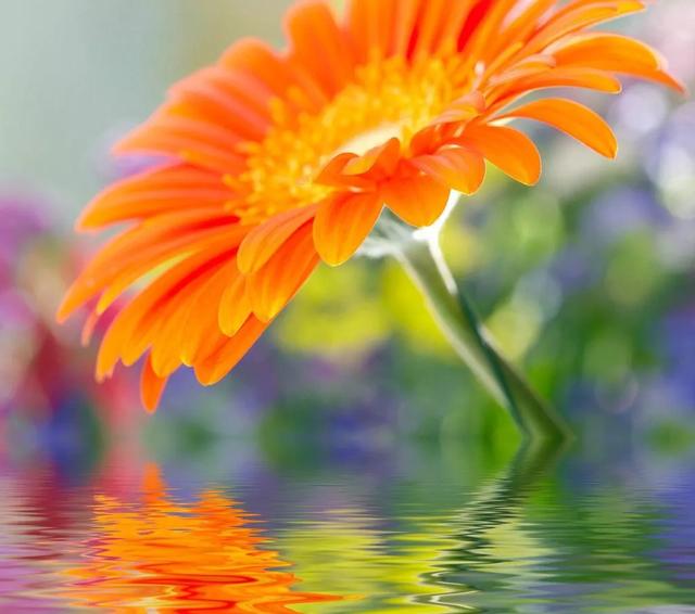 「励志照亮人生666」面对生活的不顺与挫折，不叹息，不惆怅，以平和的心态珍惜每一天