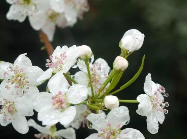 [励志司机瑞瑞]乐观点，别整天唉声叹气的