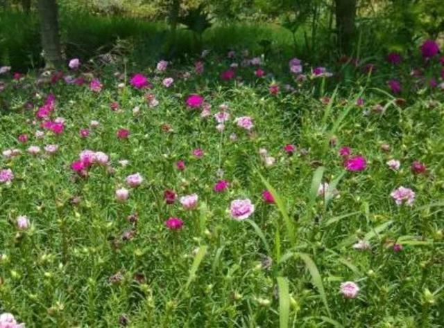 [励志司机瑞瑞]乐观点，别整天唉声叹气的