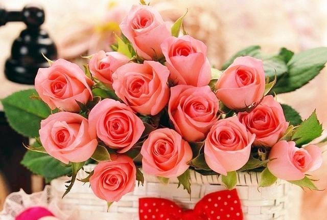 「柠檬美文」珍惜会养花的女人，她们懂得生活的美