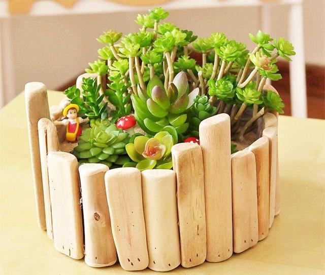 「柠檬美文」珍惜会养花的女人，她们懂得生活的美