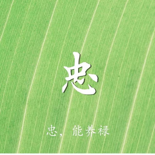 柠檬美文■最养人的九个字，一定要收藏