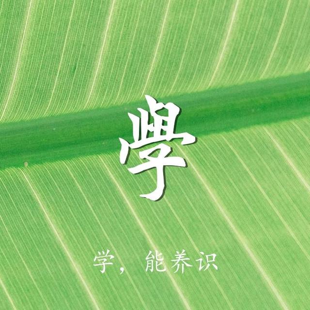 柠檬美文■最养人的九个字，一定要收藏