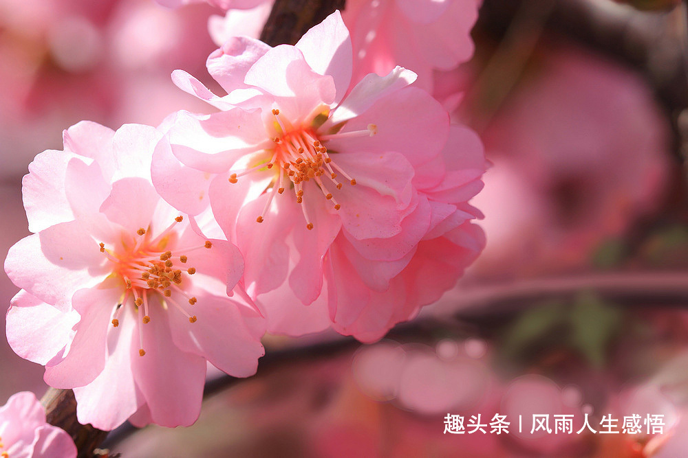 风雨人生感悟@生活，过的就是一种心情