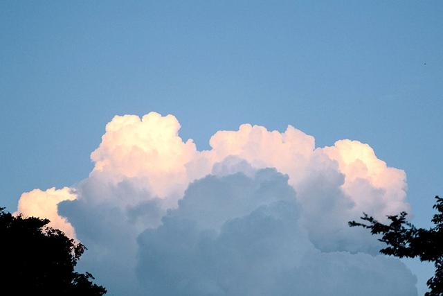 励志的乌鸦■极简，才是人生最高境界的加法