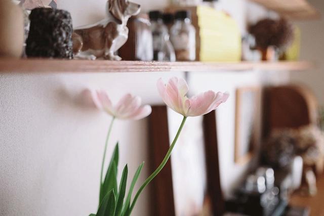 励志的乌鸦■极简，才是人生最高境界的加法