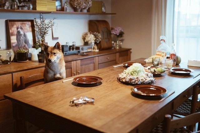 励志的乌鸦■极简，才是人生最高境界的加法